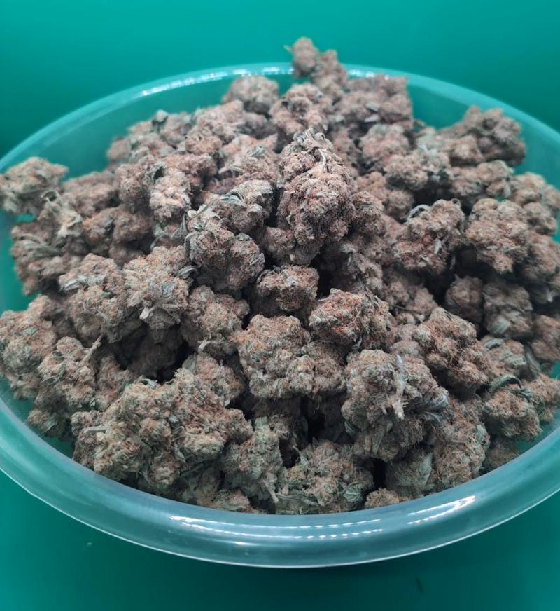 RAMBO EXOTICS - 10/10 BUD 🔥🔥🔥 6