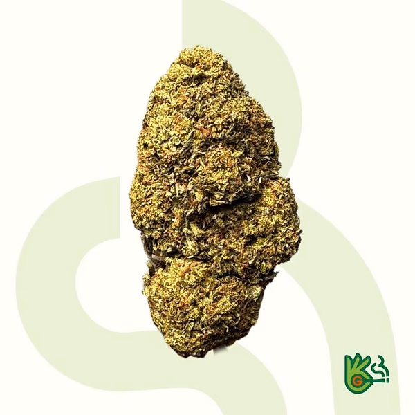 Gelato 47 *Fress Shipping*