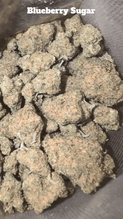 Orçamento do Reino Unido🇬🇧