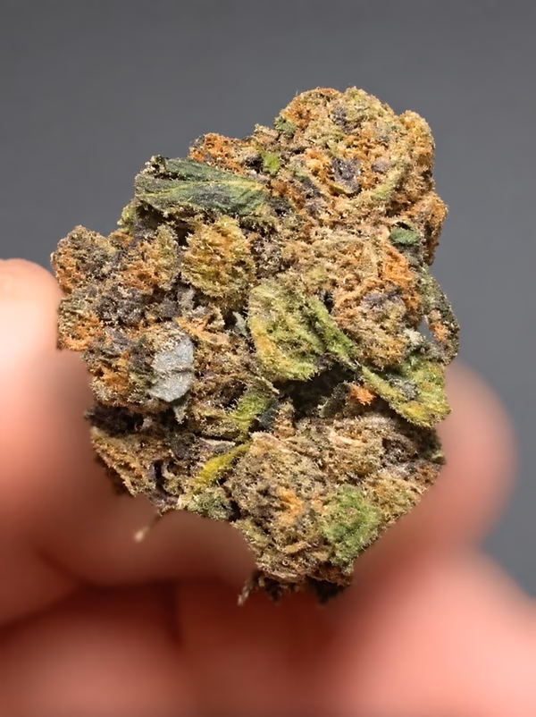 UK BUD'S — Flower