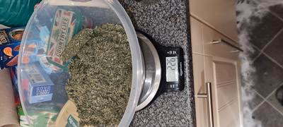 Review image 1
