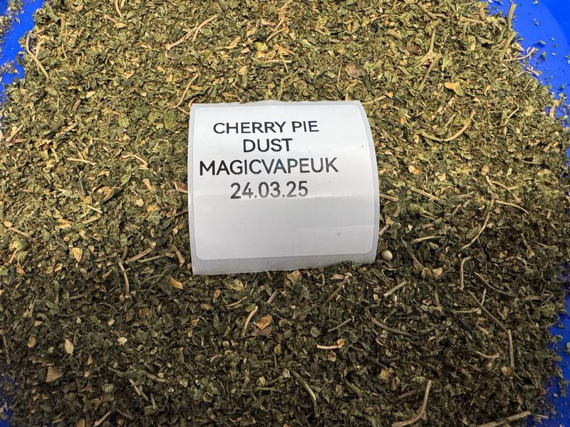 CALI TRIM POTRZĄSA TROPIKALNYMI NERDAMI
