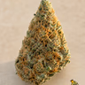 CANDY PHANTOM - TOPSHELF £140 AN OUNCE