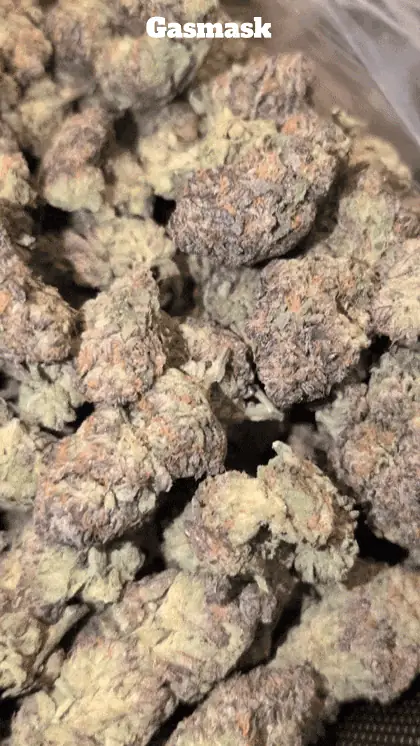 Cali Mids – Locker Import 🇺🇸