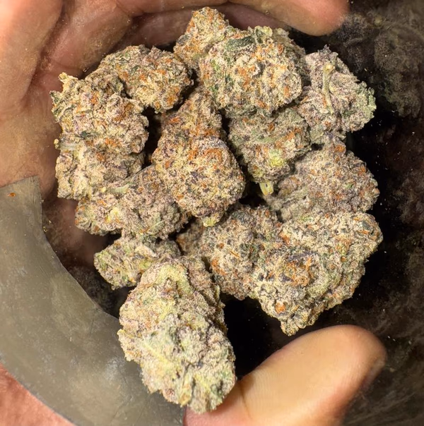 La Bomba (Enviada desde España)