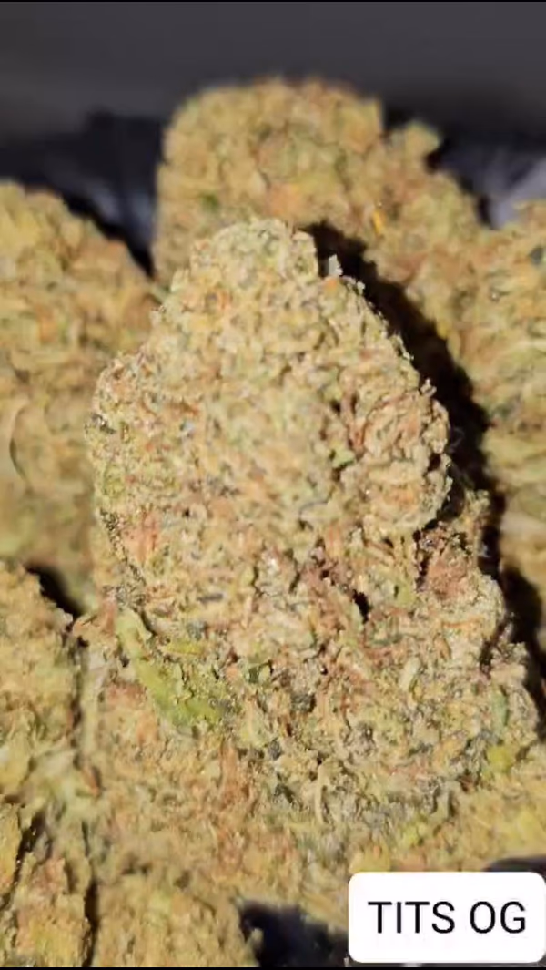 TITS OG (QUESTO È IL MERDA OG)