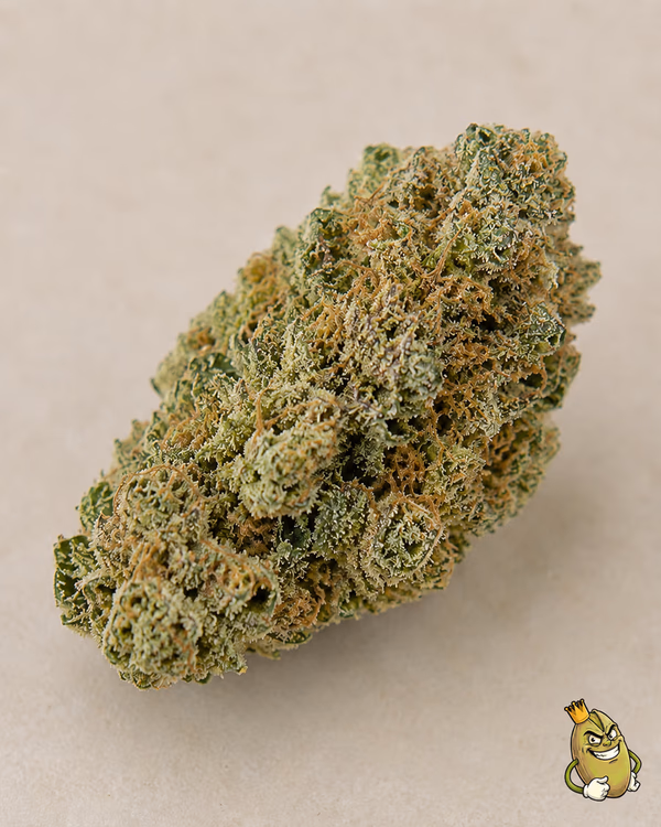 WHITE TRUFFLES - TOPSHELF £140 AN OUNCE — Flower