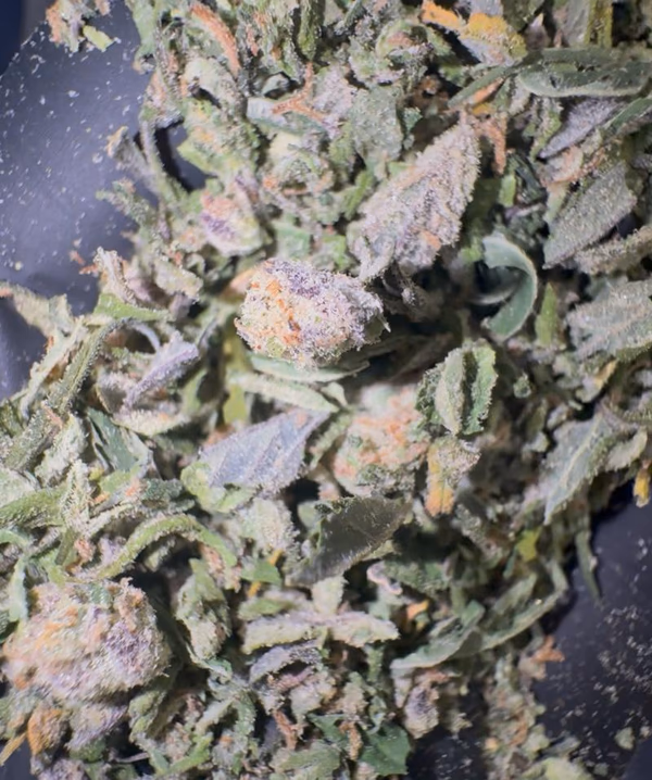 High Grade Skywalker OG Shake image