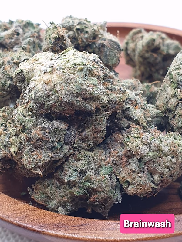 [Exclusive] Top Shelf Cali