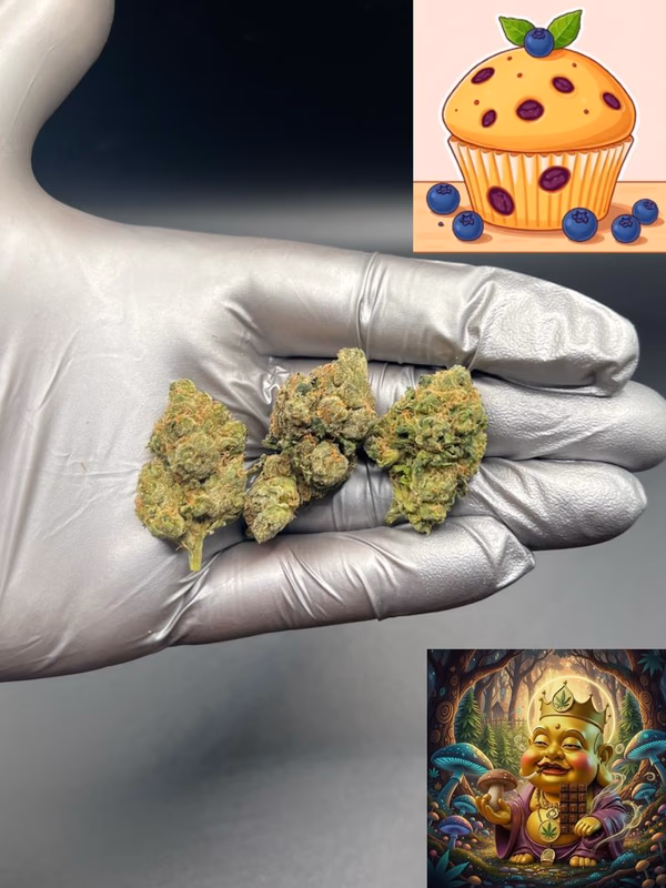 RUNTZ MUFFIN (SMALL)