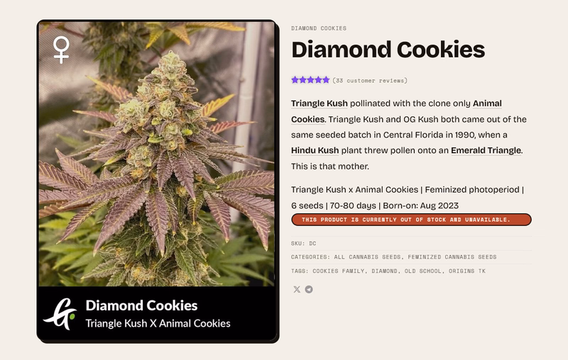 Greenpoint Seeds 3
