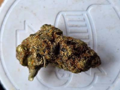 Review photo 1