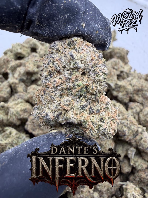 Dante's Inferno — Flower