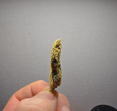 Review image 1