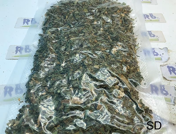 Stardawg Shake/Dust