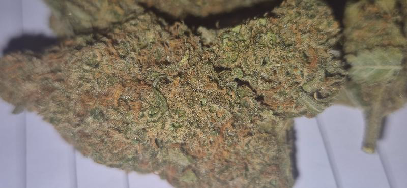 Rozzy Flower Listing