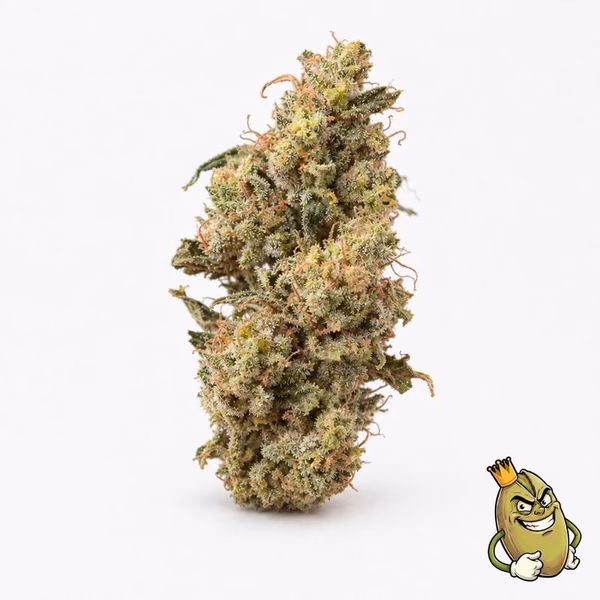 JUICY PUZZLE - TOPSHELF £135 ZA UNCI