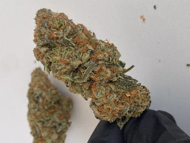 BLUE COOKIES
