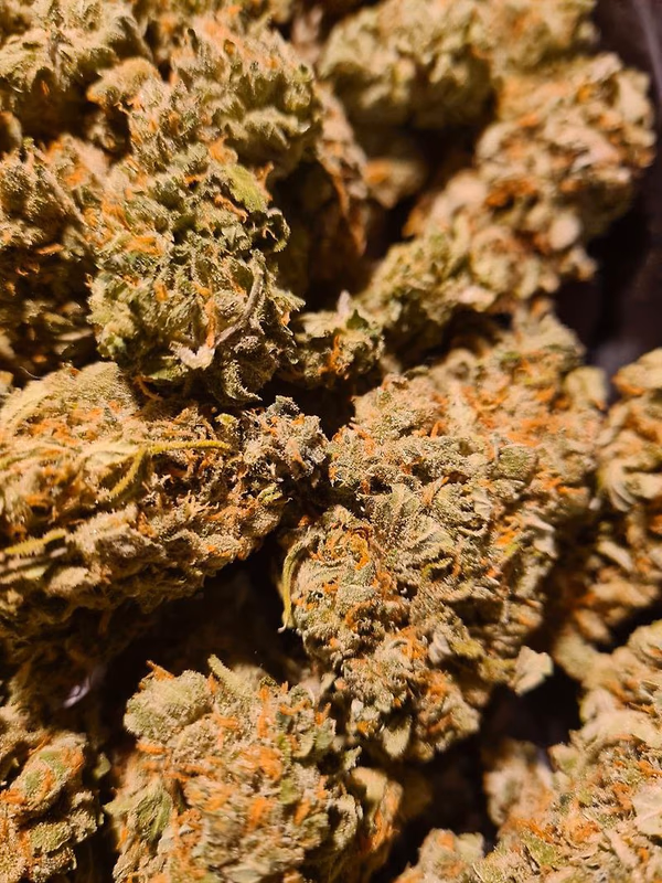 Super Lemon Haze Oz's image