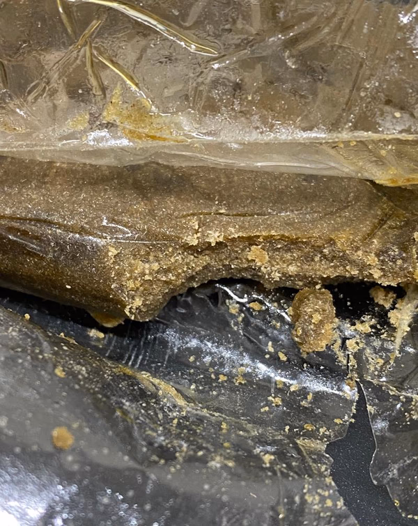 Banana Pie Whole Plant Fresh 🍌