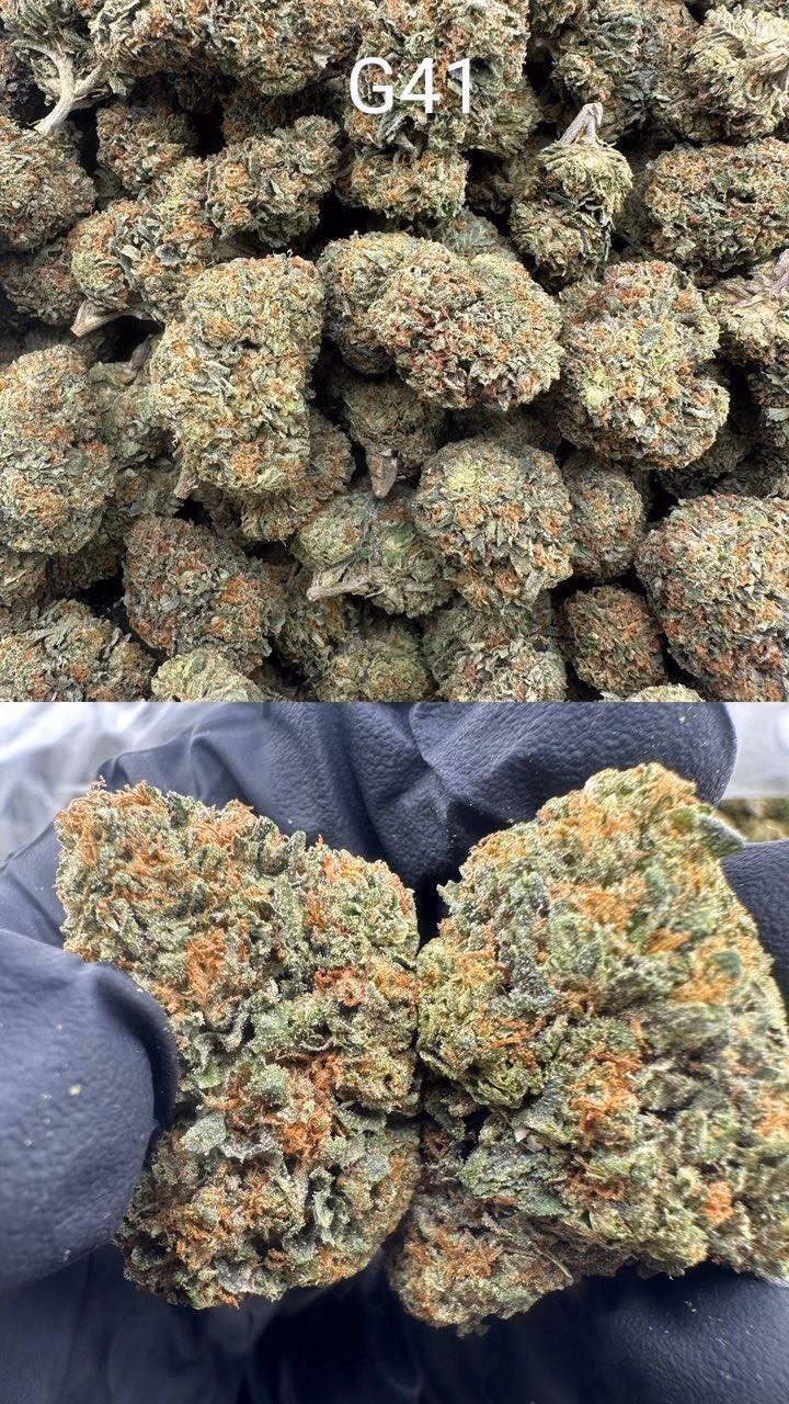Cali Mids – Locker Import 🇺🇸