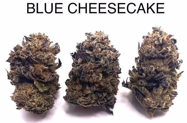 BLUE CHEESECAKE