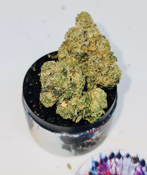 SUNSHINE SHERBET 🍧🌞 UK TOPS