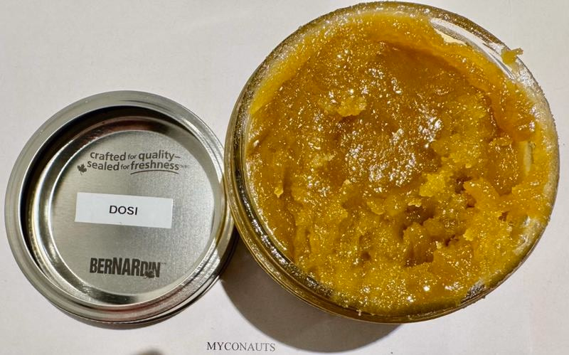 Canada BHO