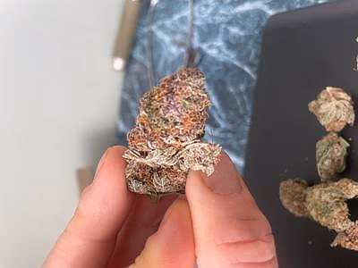 Review image 1
