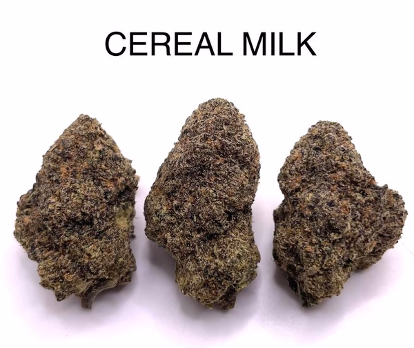 CEREAL MILK