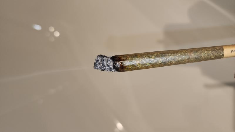 UK GROWN FLOWER 4