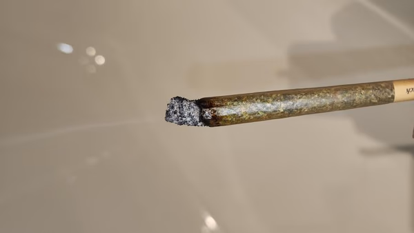 UK GROWN FLOWER — Flower
