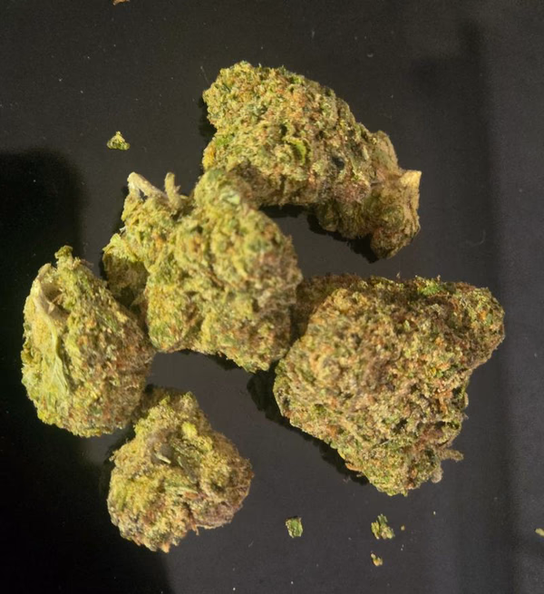 Mimosa Oz's