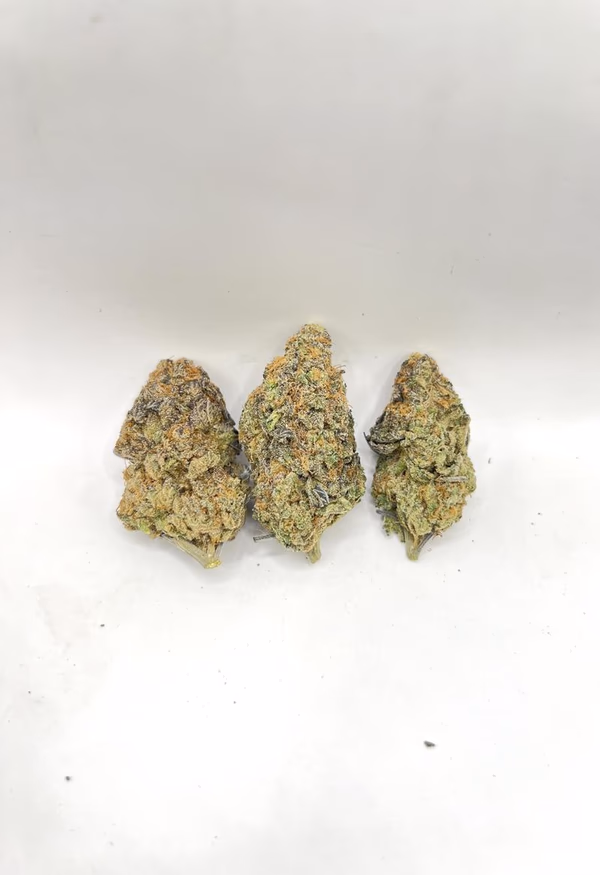 PURPLE BISCOTTI