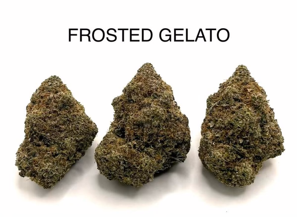 FROSTED GELATO
