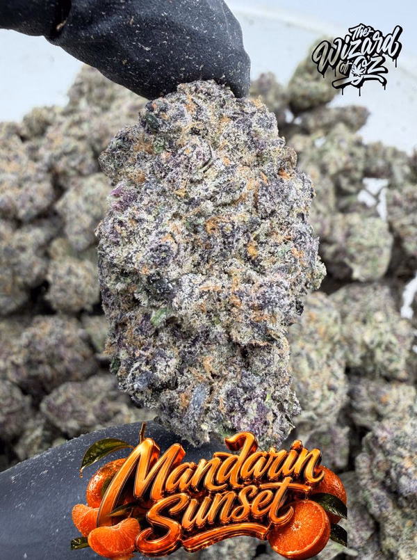 Mandarin Sunset