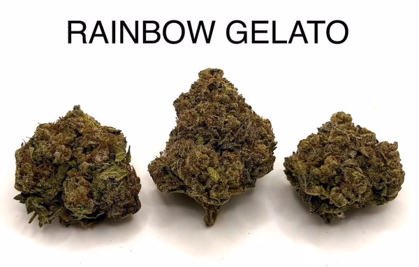RAINBOW GELATO