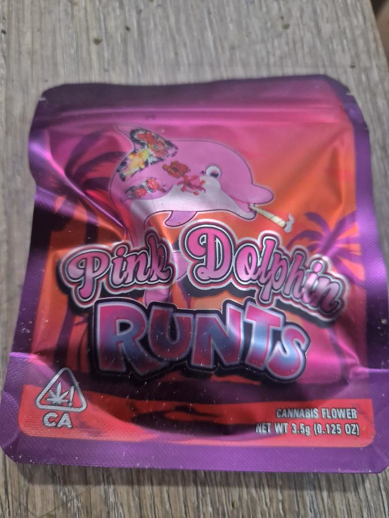 Pink Dolphin Runts