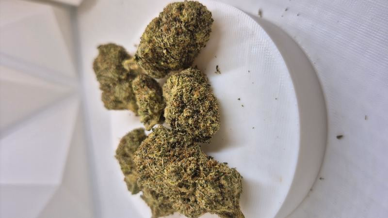 GMO Zkittlez 2