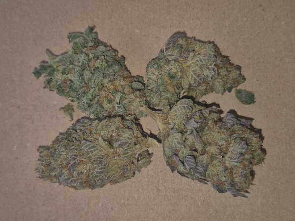 Cap Junky uk top flower