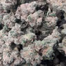 RAMBO PREMIUM BUD 🔥🔥