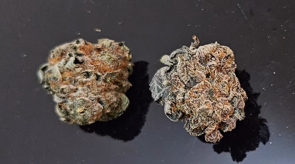 Purple Space Cookies