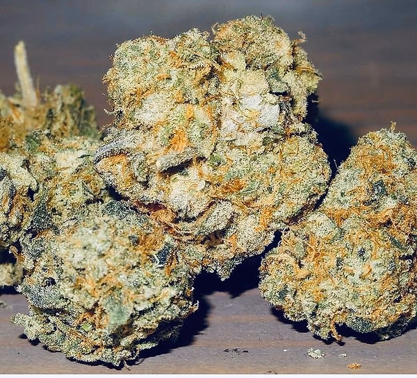 TROPICAL CHERRY 🌴 🍒