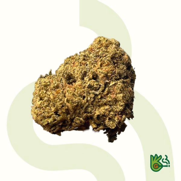 Space X *Free Shipping*