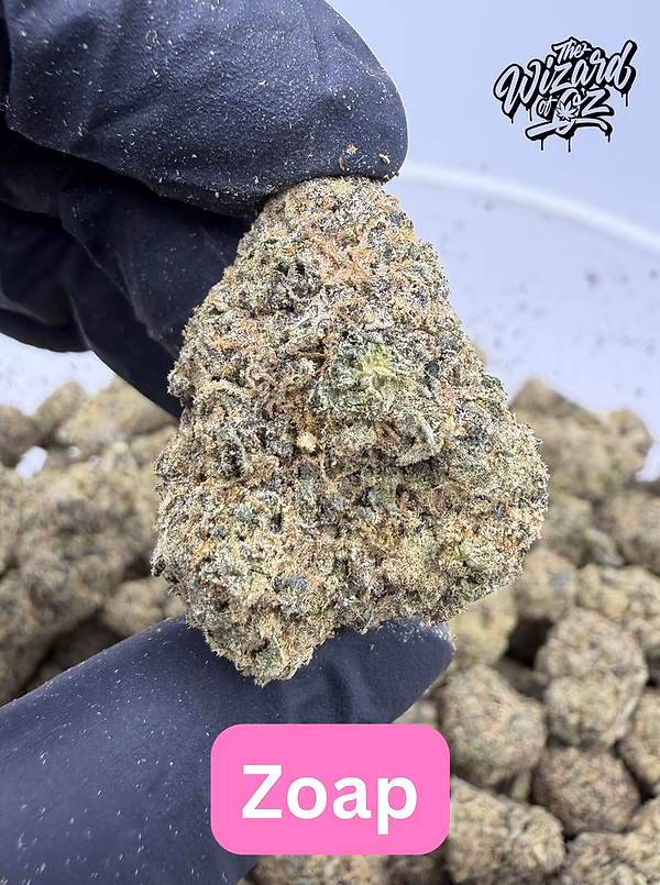 Zoap