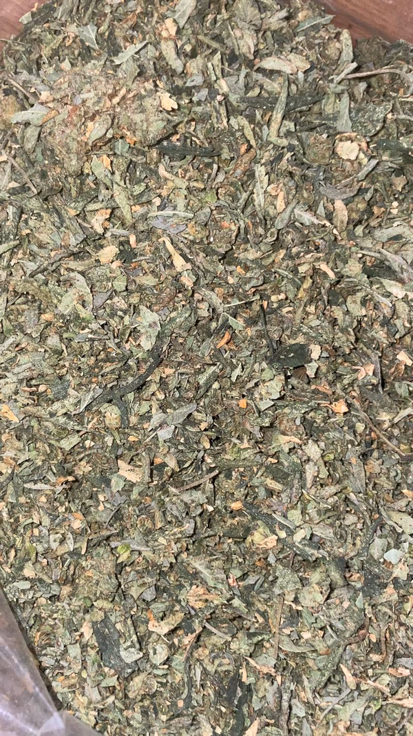 HEADBANGER TRIM — Shake