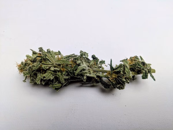 Organic Painkiller CBD