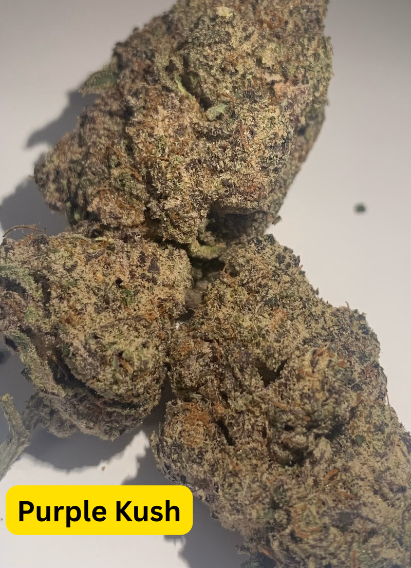 UK Flower 💫