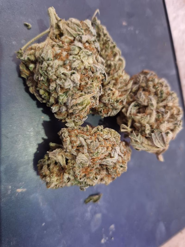 Stardawg