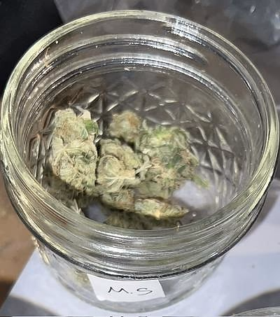 Foto de reseña 1